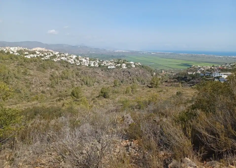 Terreny rústic en venda a El Ràfol d'Almúnia
