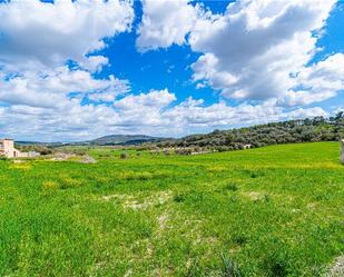 Finca rústica en venda en Sineu amb Terrassa