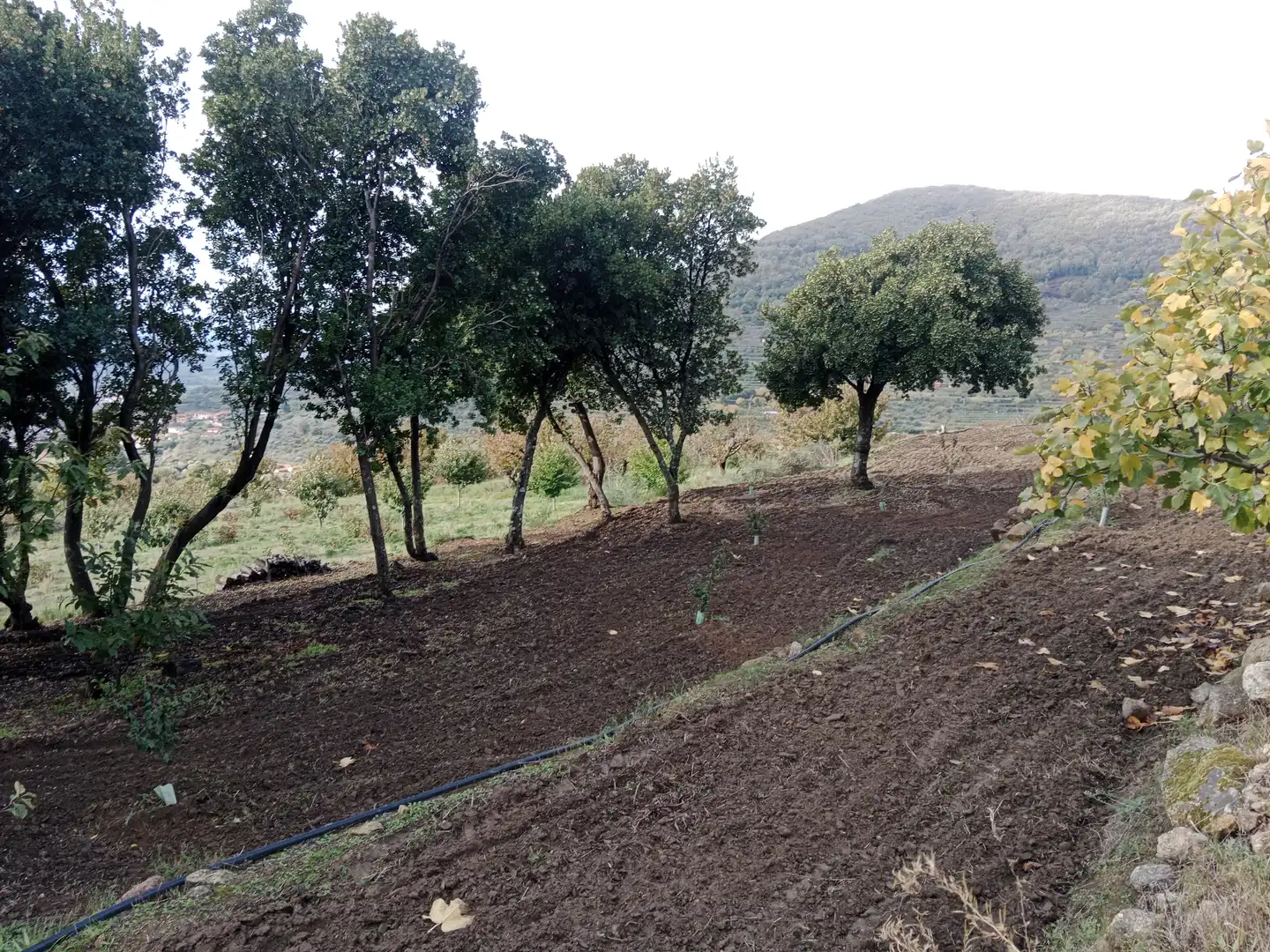 Terreni e lotti in vendita a Pasarón de la Vera, imagen 29