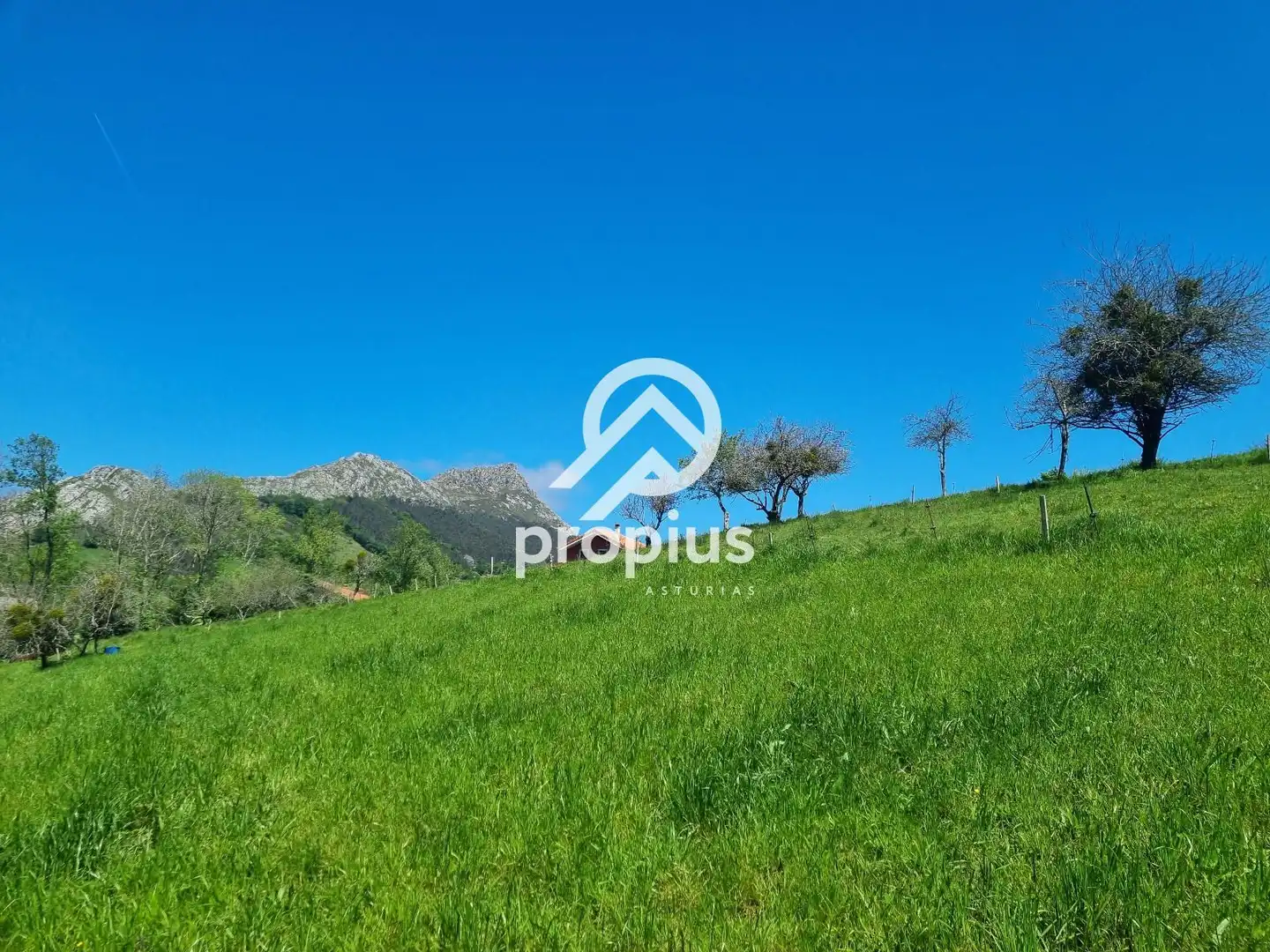 Terreno residencial en venta en EL COLLADO DE SANTO TOMÁS, imagen 2