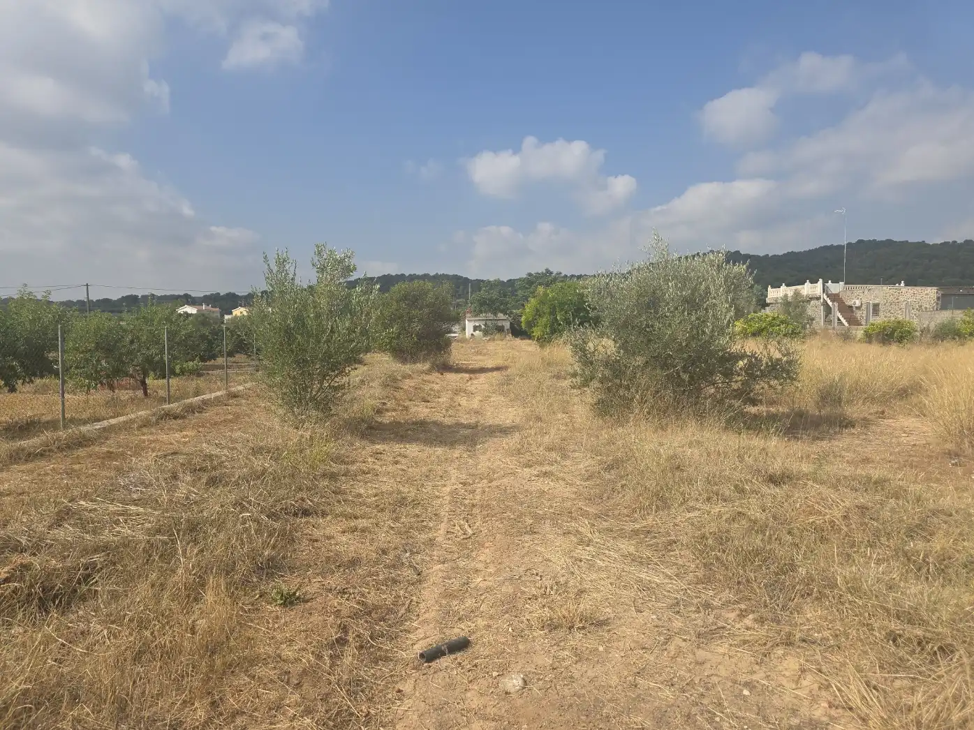Rural land for sale in Vilamarxant, imagen 20