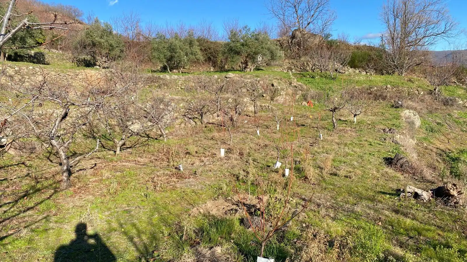Terreni e lotti in vendita a El Torno, imagen 15