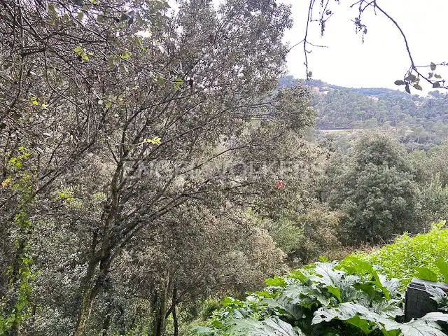 Terreno residencial en venta en La Floresta, imagen 7
