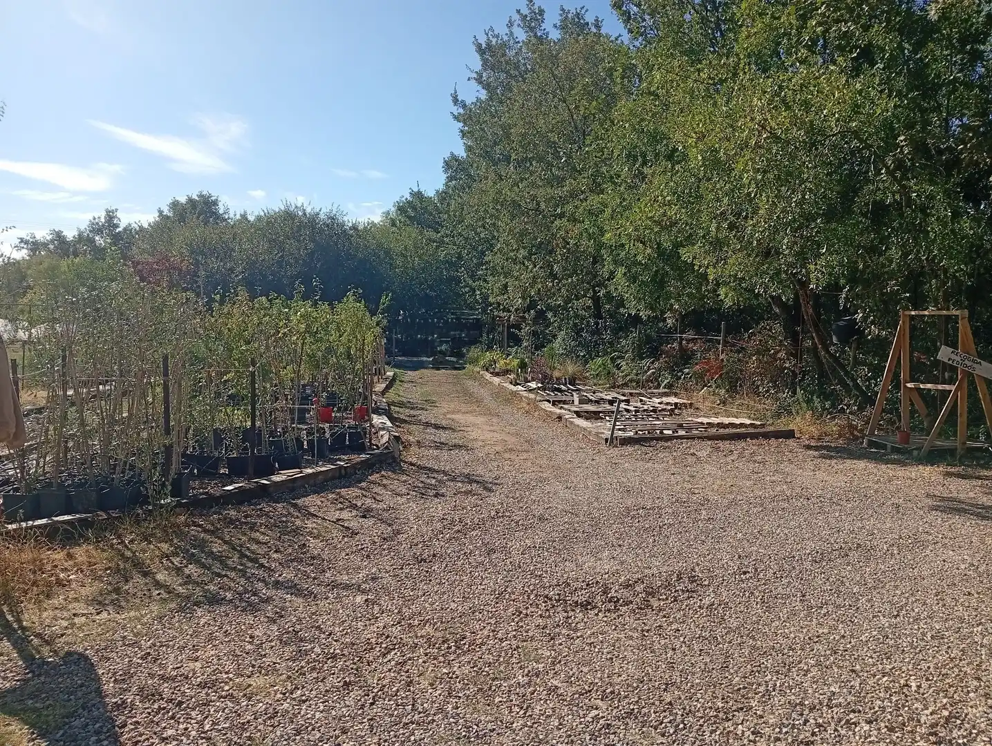 Terrain rustique à vendre à Villanueva de la Vera, imagen 16