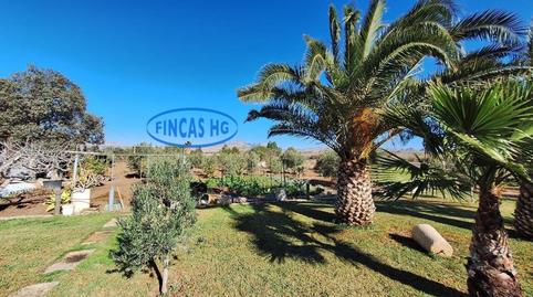 Foto 4 de Casa o xalet en venda a Cañada del Fenollar, Alicante