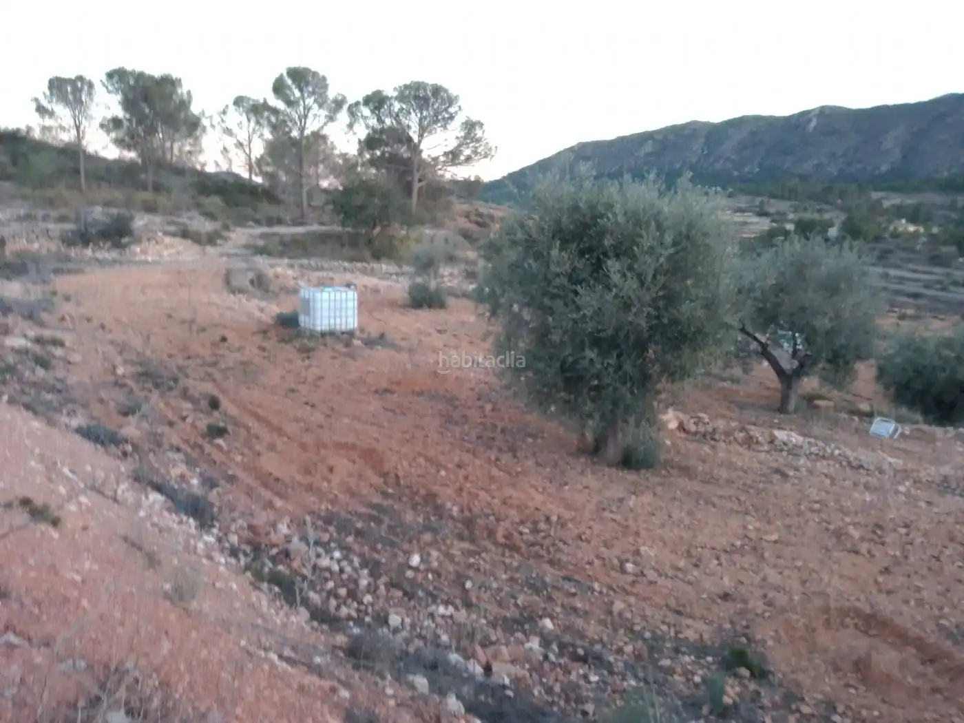 Terreny residencial en venda a Boquera 1, imagen 3