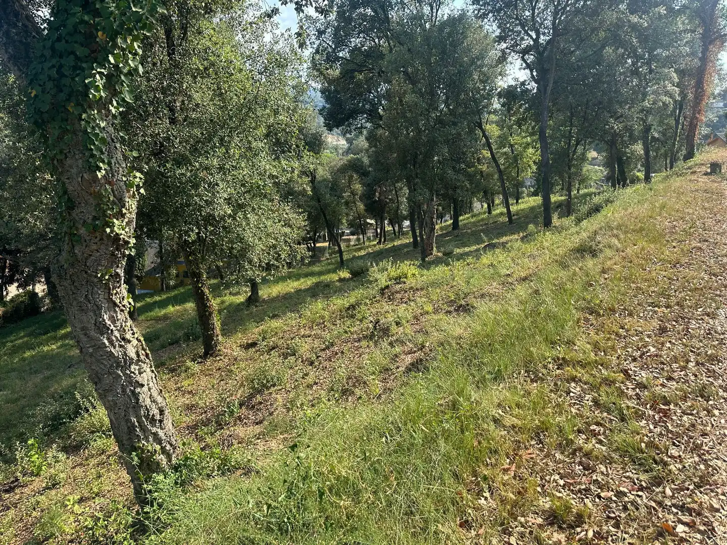 Residencial en venta en Santa Maria de Palautordera