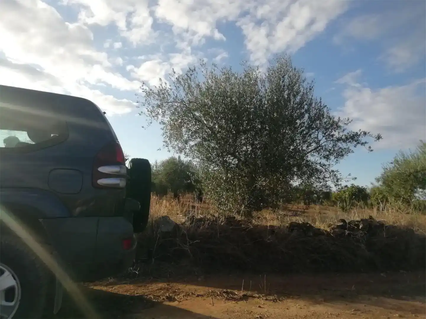 Terreno en venta en Arroyomolinos (Cáceres)