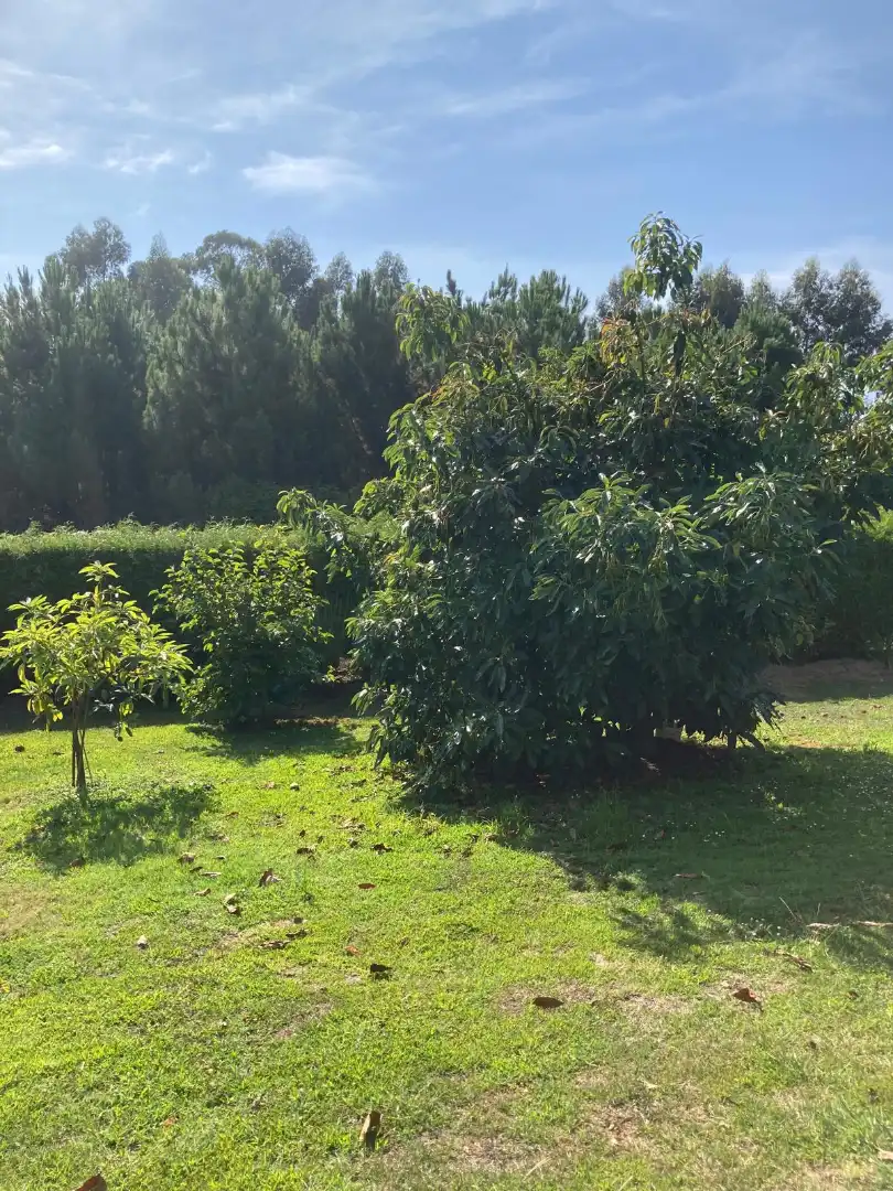 Casa o xalet en venda en Dorneda