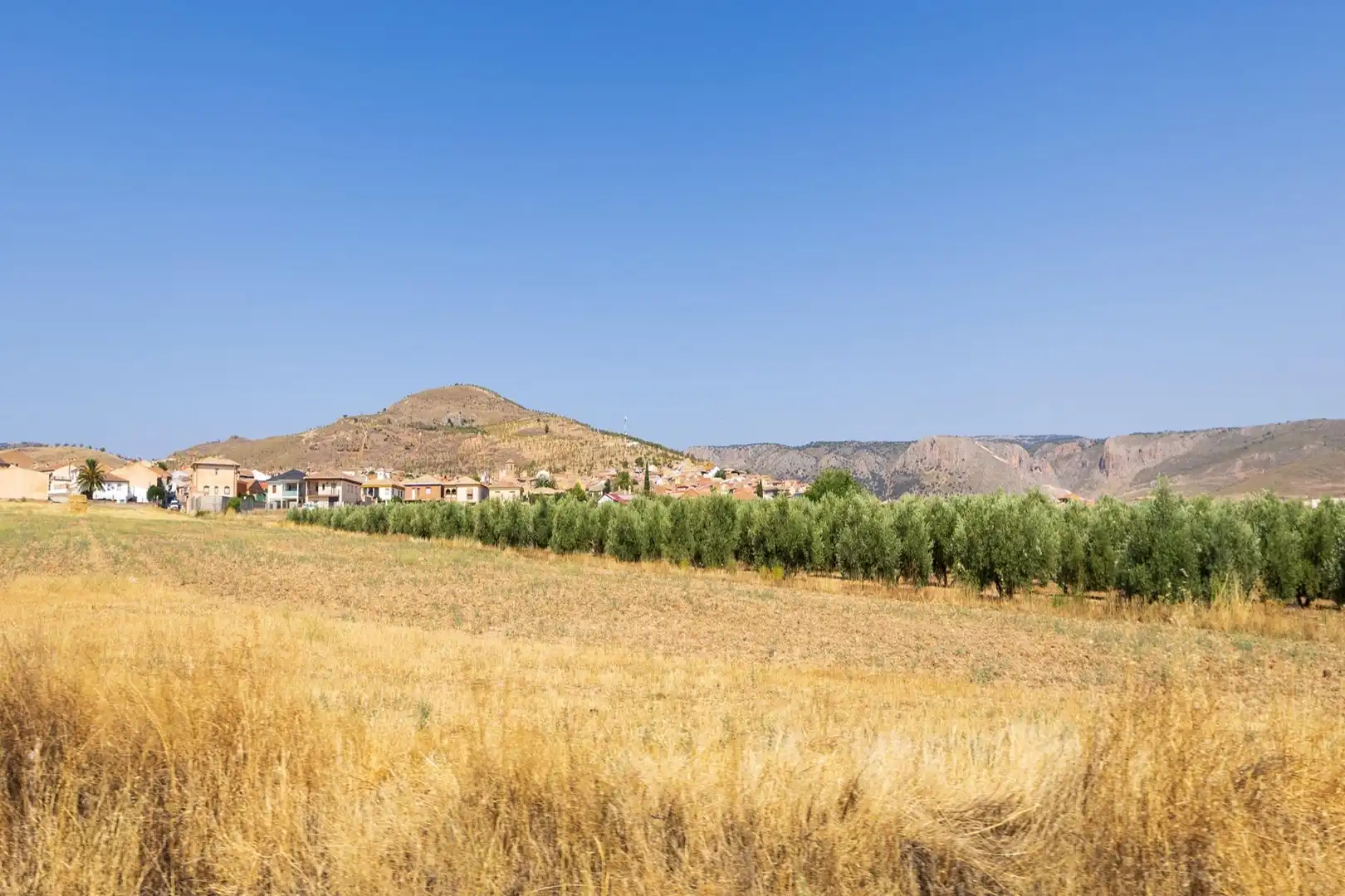 Casa o chalet en venta en Darro