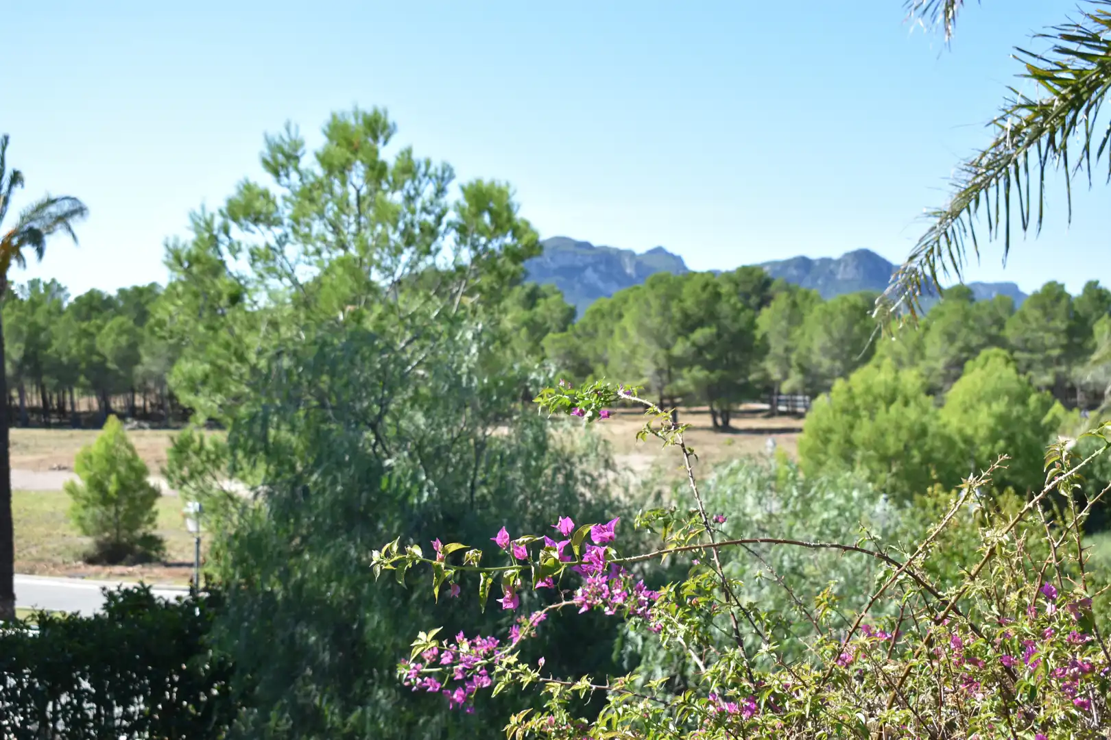Jardí de Casa o xalet en venda en Mont-roig del Camp amb Aire condicionat, Calefacció i Jardí privat