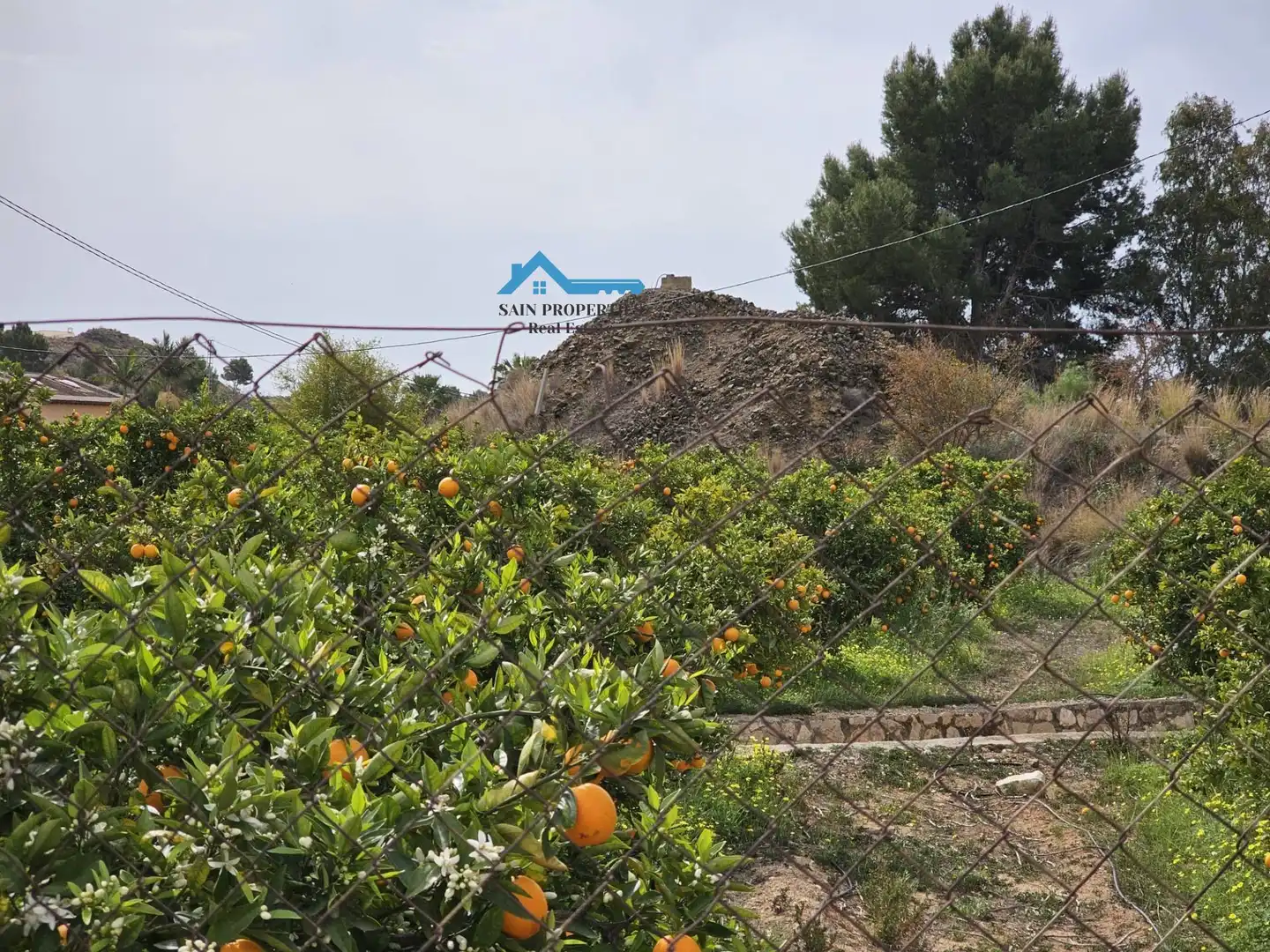 Rural land for sale in Altea ciudad, imagen 11