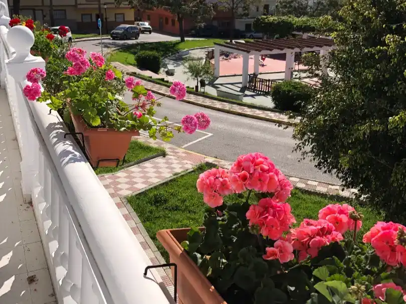 Vista exterior de Casa adosada en venta en Los Barrios con Balcón