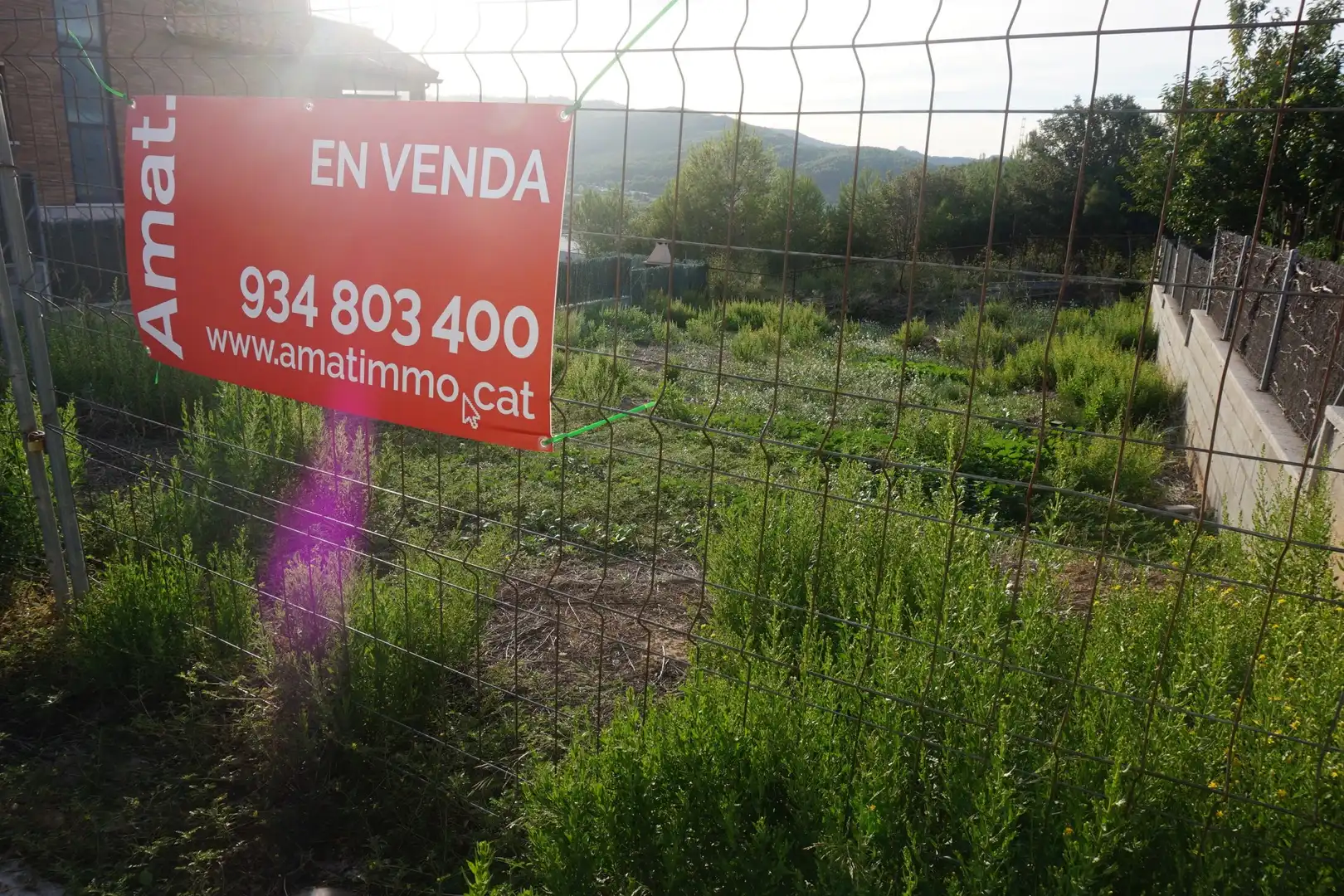 Terrenys i solars en venda a DEL PI, imagen 3