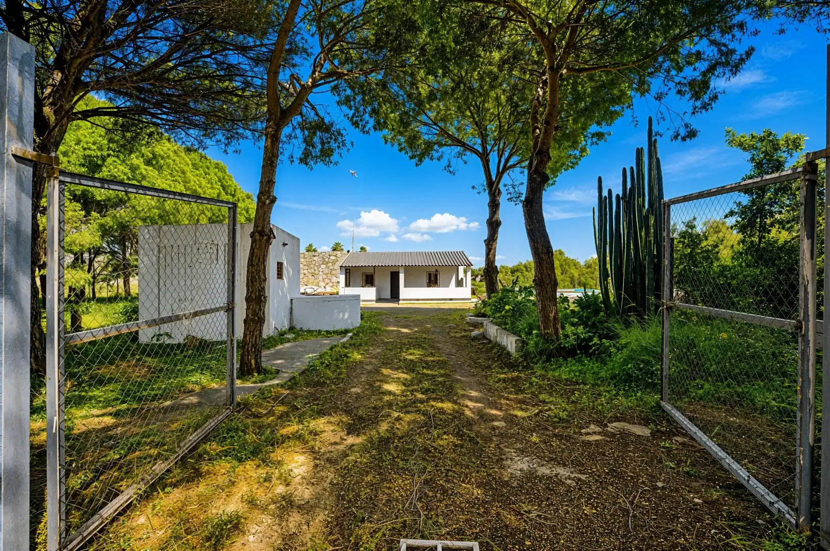 Vista exterior de Casa o chalet en venta en Chiclana de la Frontera con Trastero