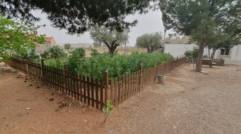 Foto 5 de Casa o chalet en venta en Tobarra, Albacete