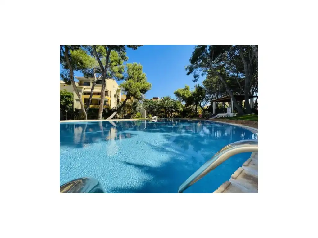 Piscina de Àtic de lloguer en Calvià amb Aire condicionat, Jardí privat i Terrassa