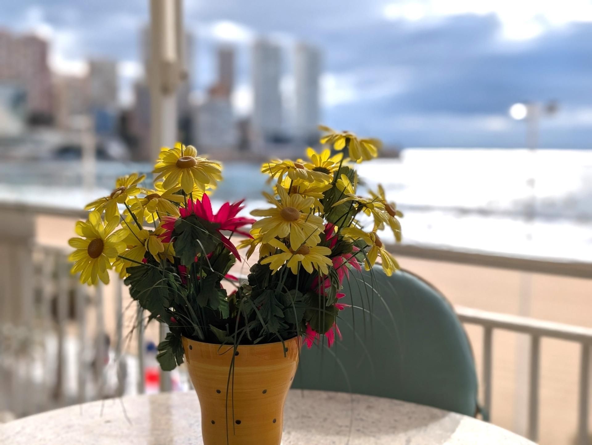 Apartament en venda a Playa Levante