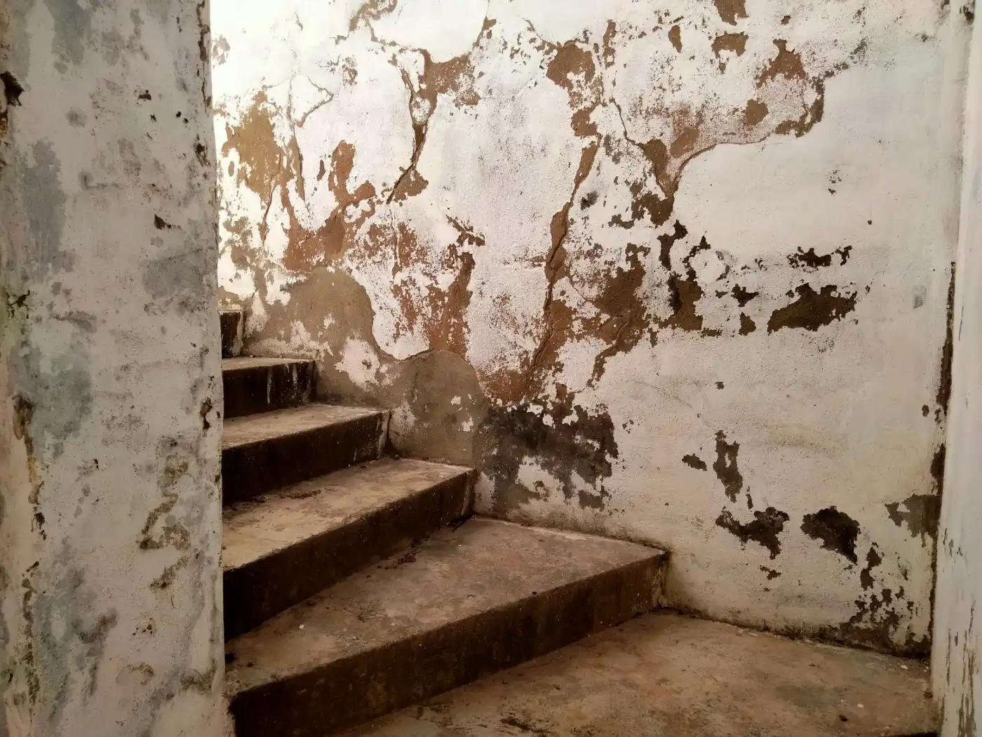 Local comercial en venda a Medina Sidonia, imagen 16