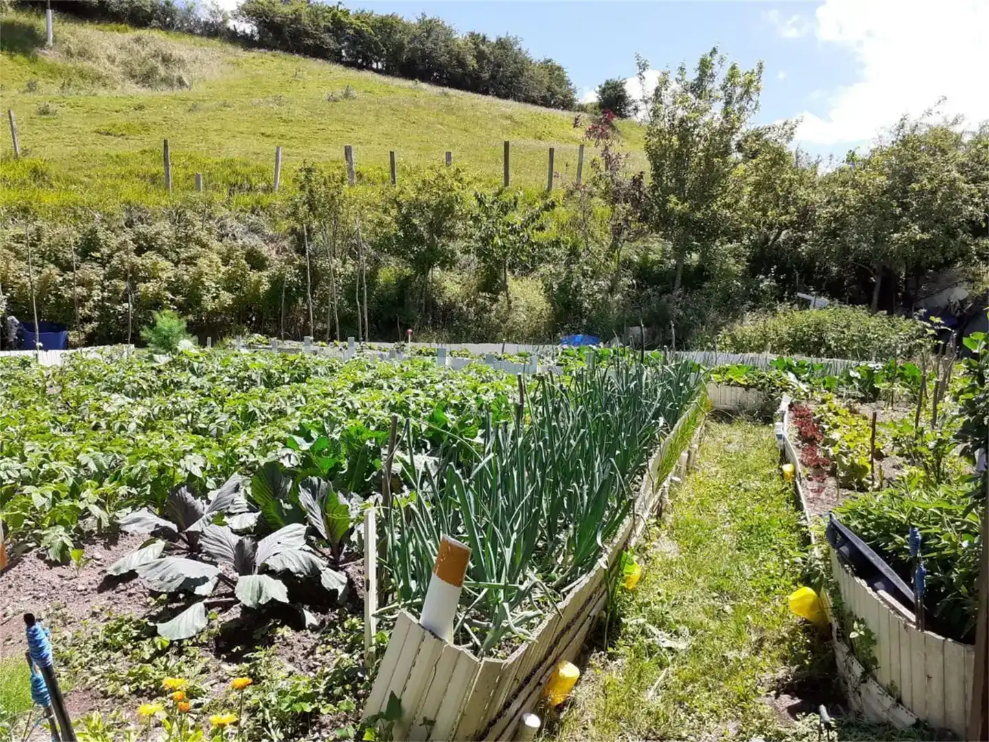 Jardí de Finca rústica en venda en Campoo de Enmedio amb Traster