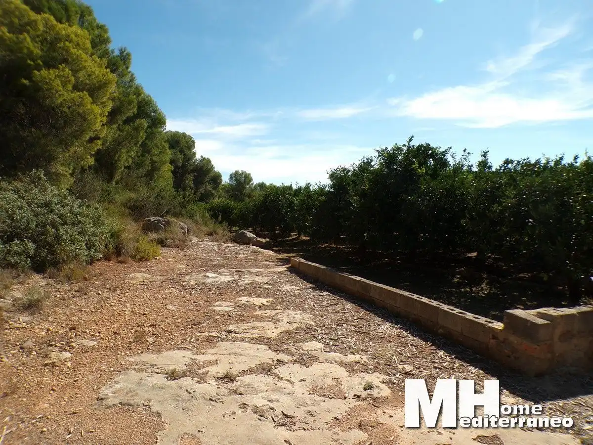 Rural land for sale in LES CHARRETES 15, imagen 14