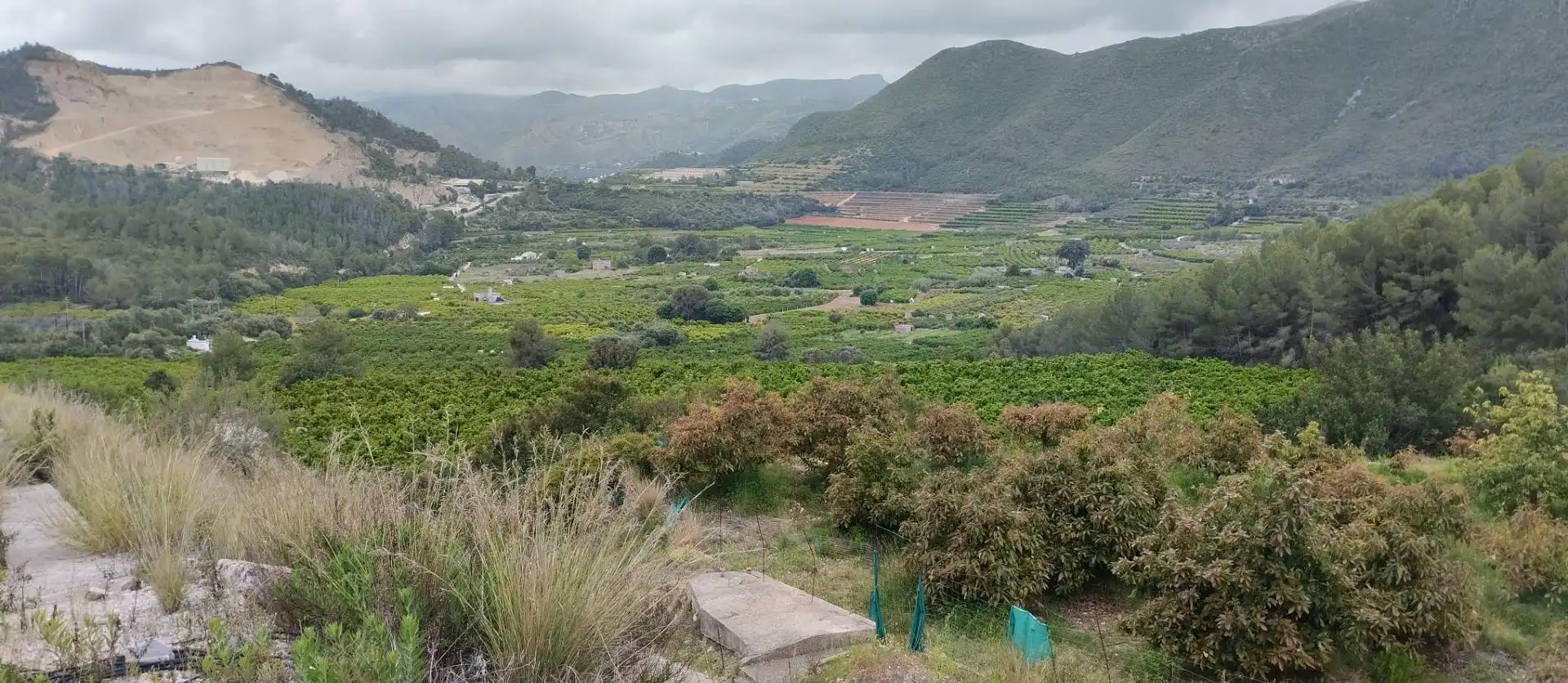 Rural land for sale in L'Atzúbia, imagen 8