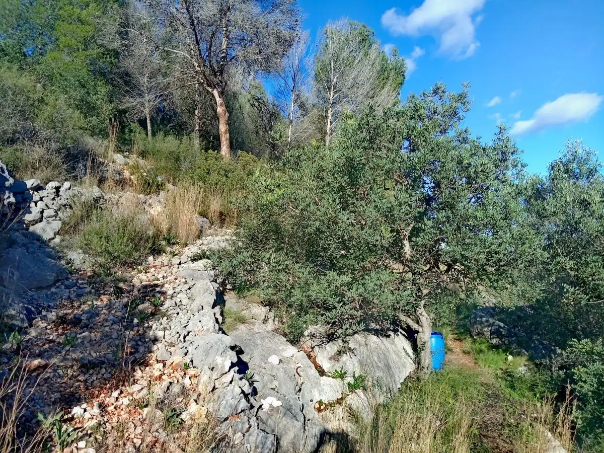 Terreny rústic en venda a Alcalalí, imagen 8