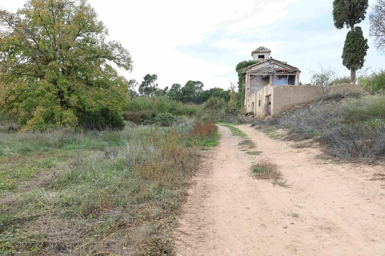 Terreni e lotti in vendita a Calle TORREALTA, imagen 6