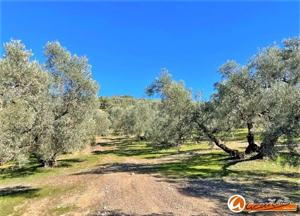 Rustikales Grundstück zum Verkauf in de la Cañada Honda, imagen 3
