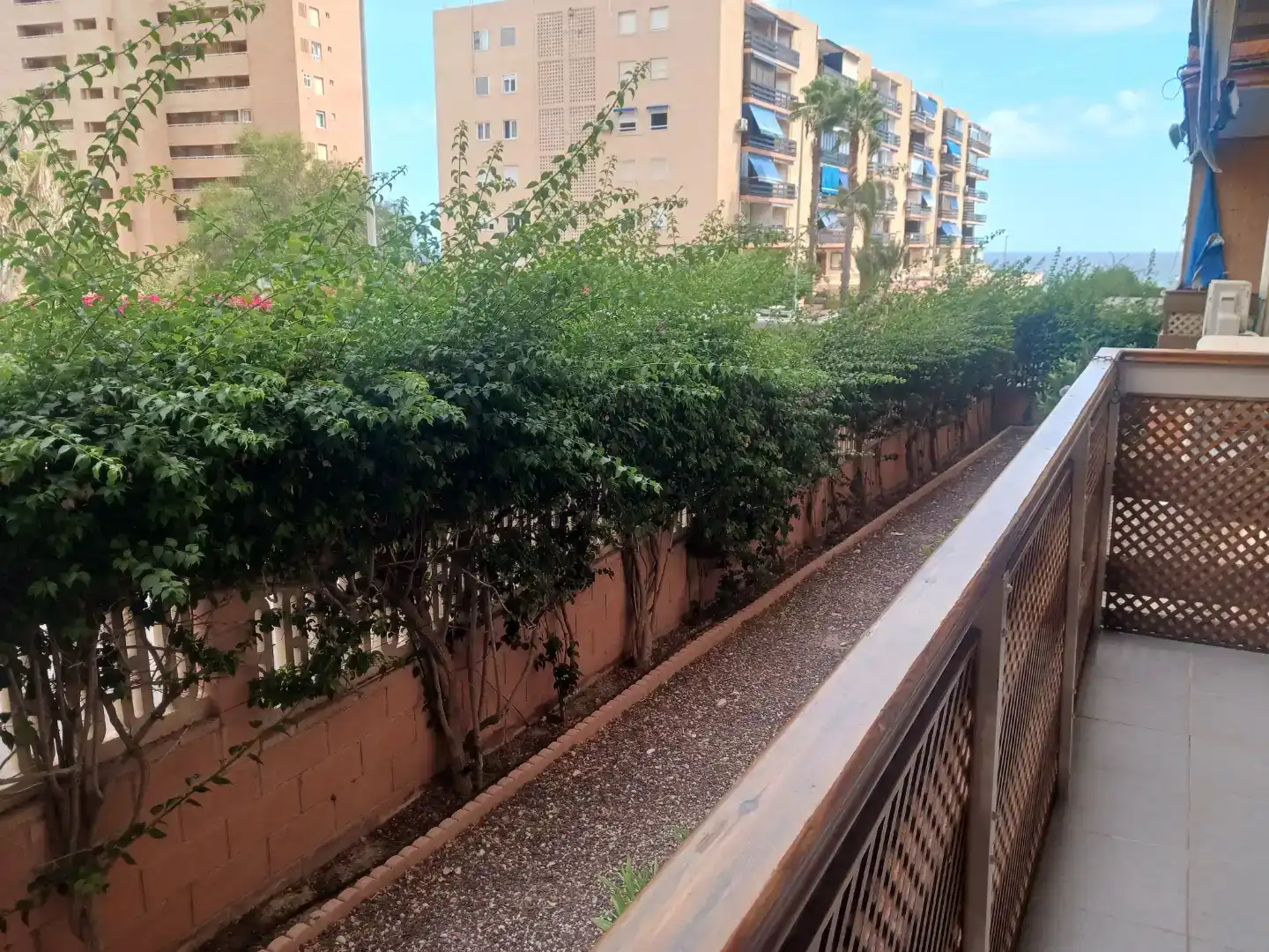 Vista exterior de Pis en venda en El Campello amb Aire condicionat, Moblat i Balcó