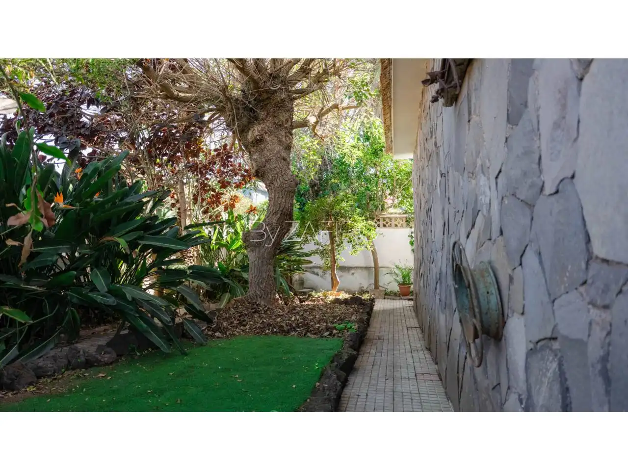 Jardí de Casa o xalet en venda en San Cristóbal de la Laguna amb Jardí privat i Terrassa