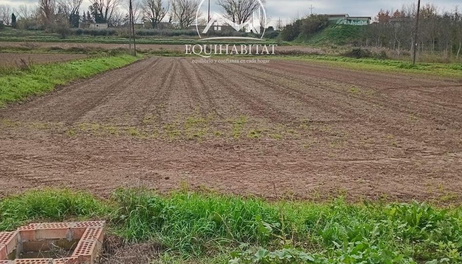 Foto 1 de Terreno en venta en Distrito la Bordeta, Centre Històric, Lleida