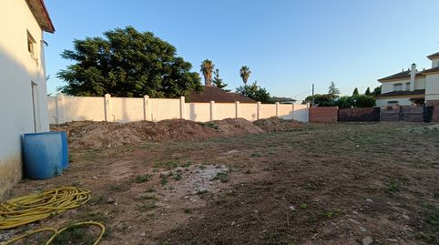 Foto 5 de Residencial en venda a Loreto, Espartinas