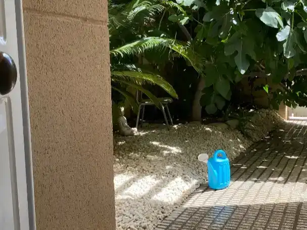 Garden of Flat for sale in Pueblo Español - Coveta Fumá