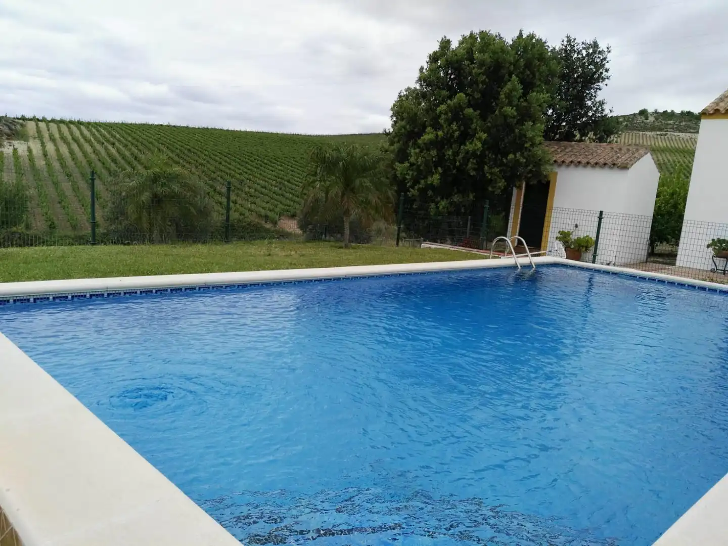 Piscina de Finca rústica en venda en Arcos de la Frontera amb Jardí privat i Piscina comunitària