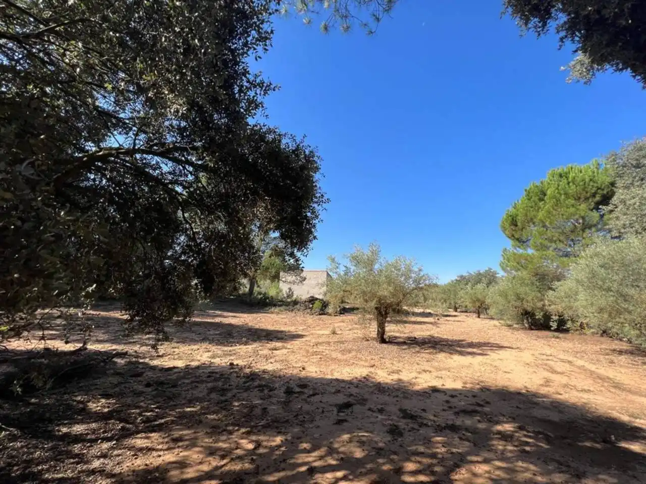 Chalet en venta en Banyeres de Mariola, imagen 42