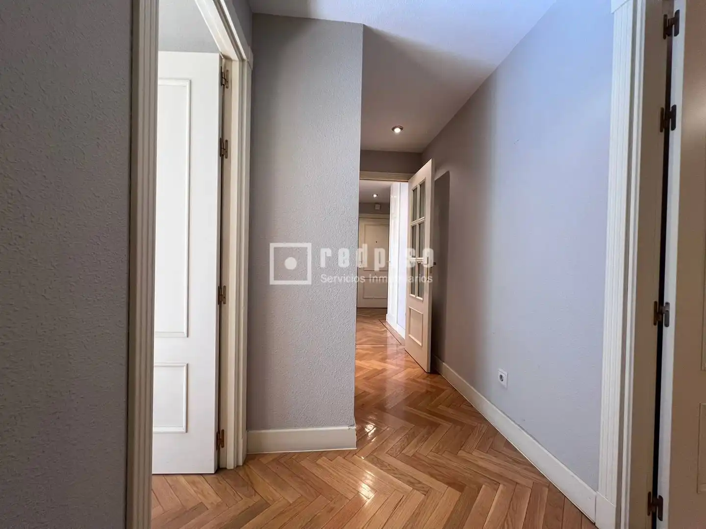 Piso con piscina en venta en del Talgo 226, imagen 3