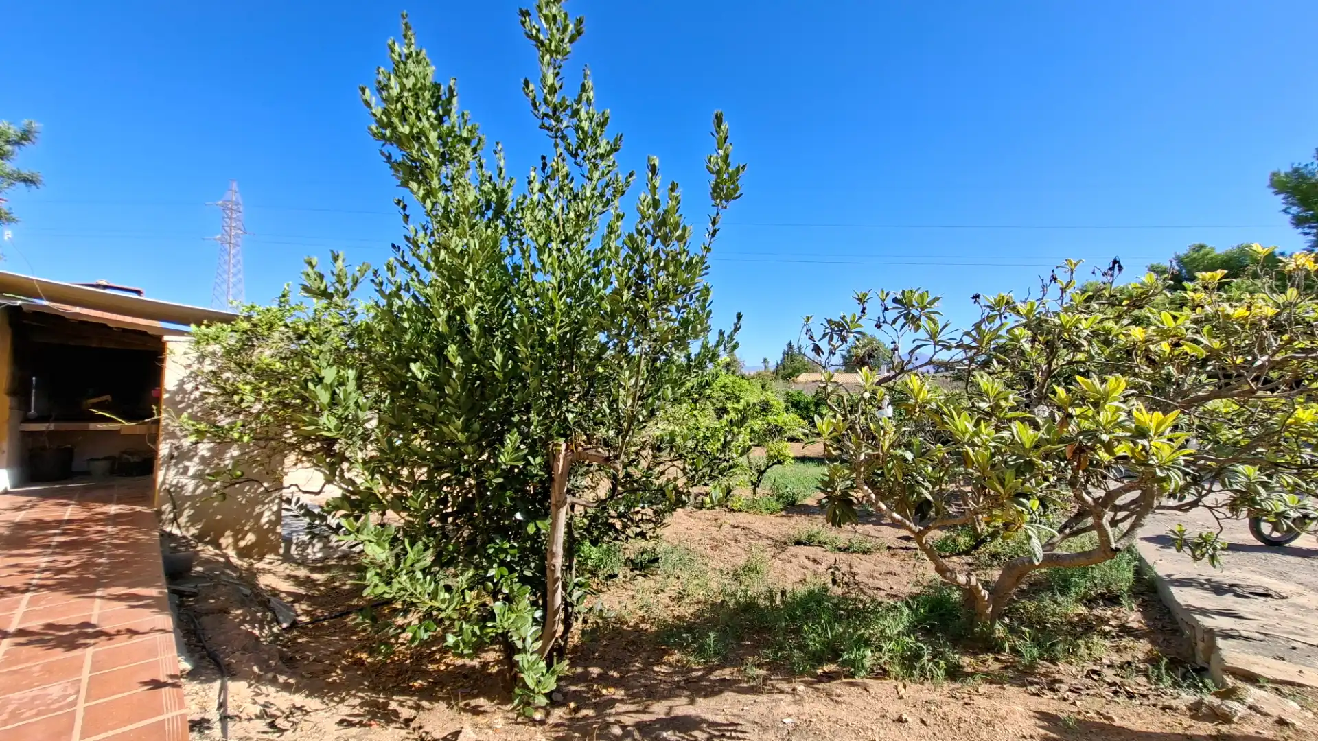 Houses for sale in Camí del Carreret, Los Girasoles