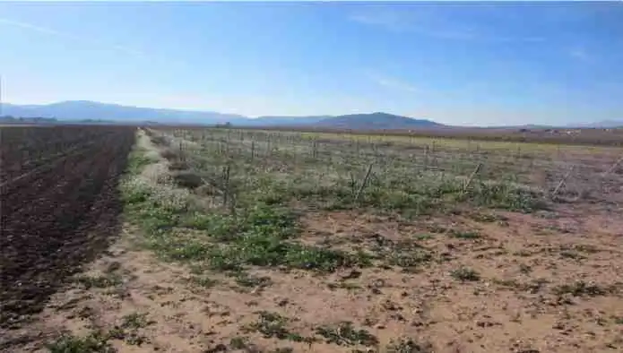 Rural land for sale in Pd Alciri, imagen 7