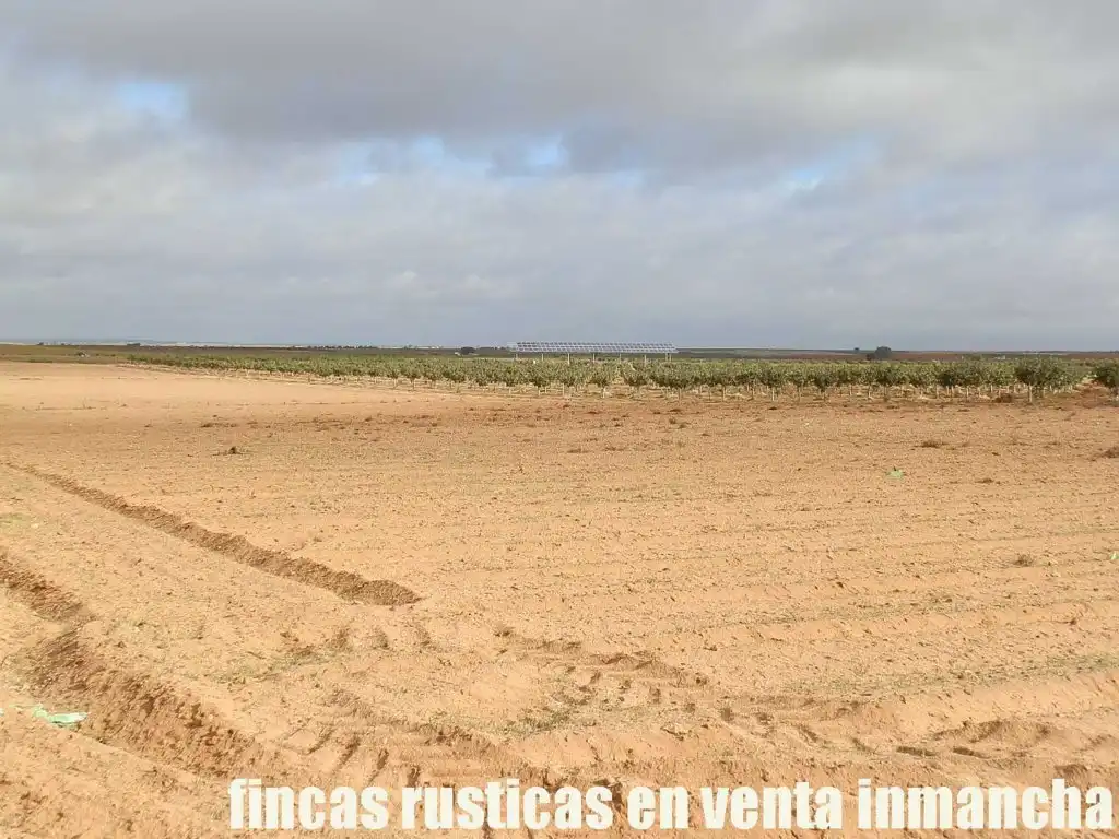 Terreni e lotti in vendita a Las Mesas, imagen 9