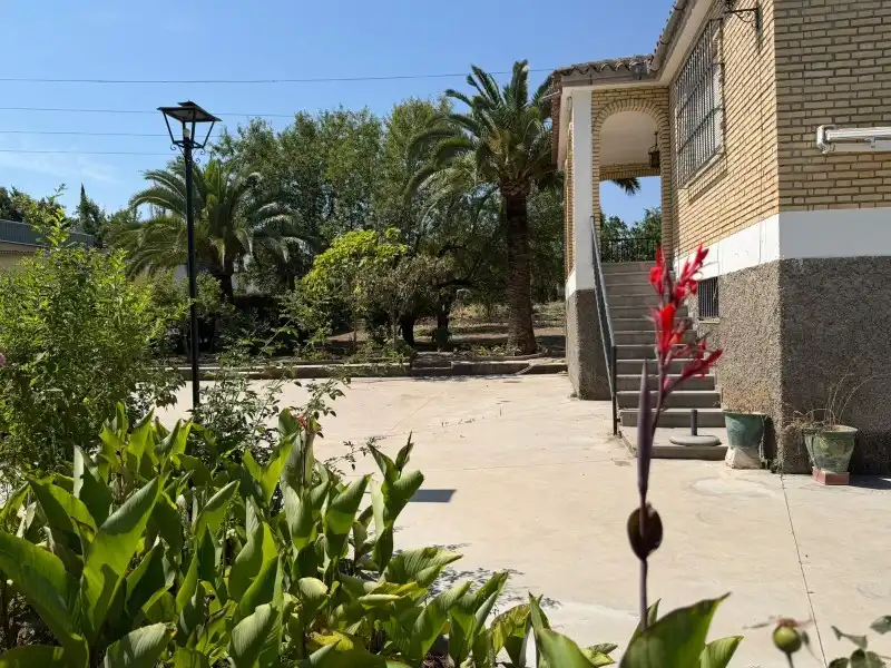 Vista exterior de Finca rústica en venta en Lucena