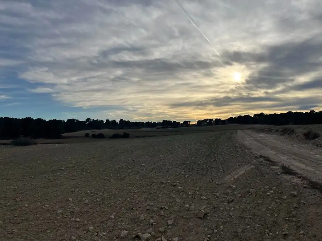 Terrenos y solares en venta en Hellín, imagen 6