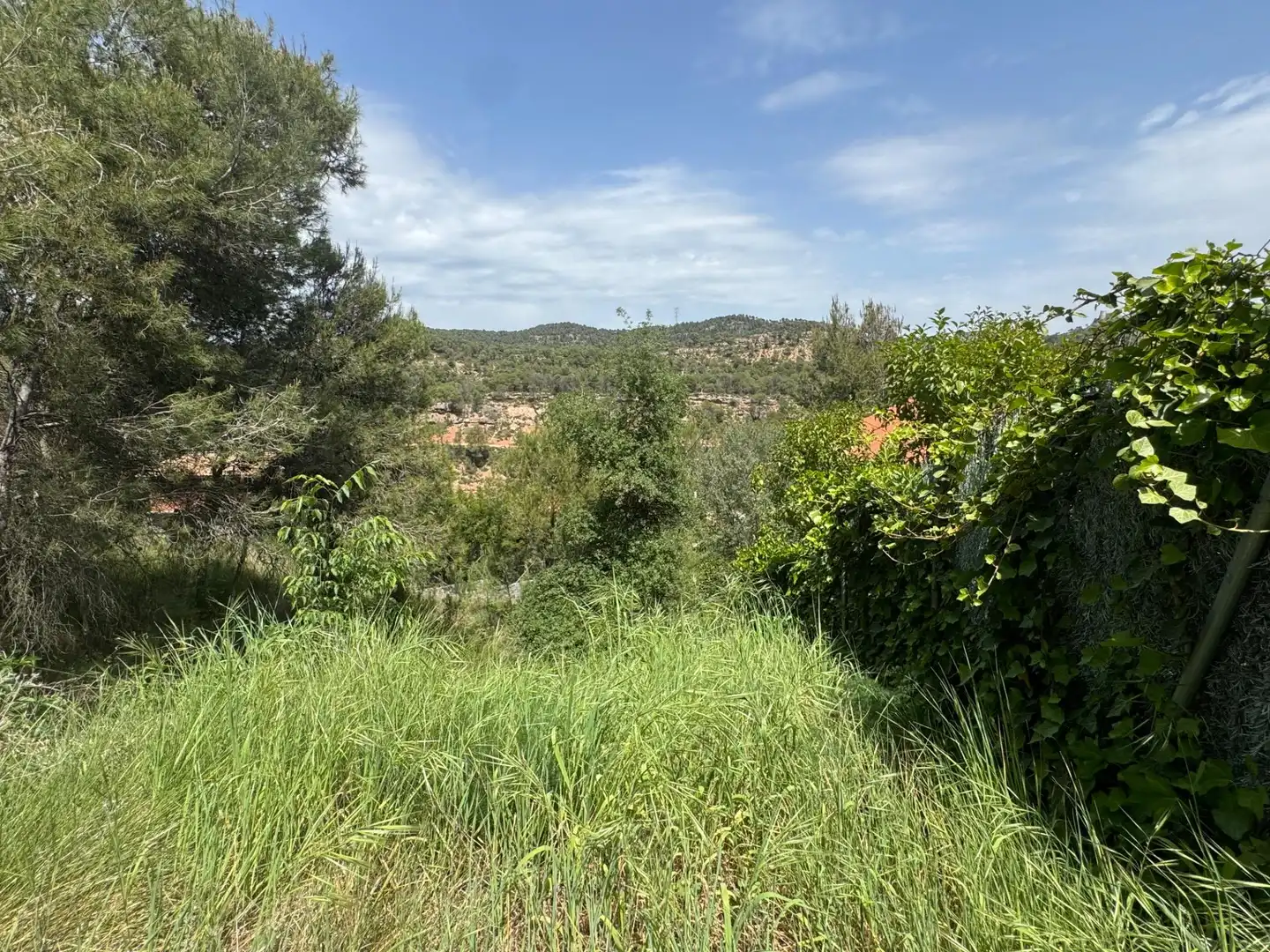 Residential land for sale in La Pobla de Claramunt, imagen 8