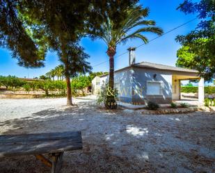 Vista exterior de Casa o xalet en venda en Elche / Elx amb Jardí privat i Terrassa