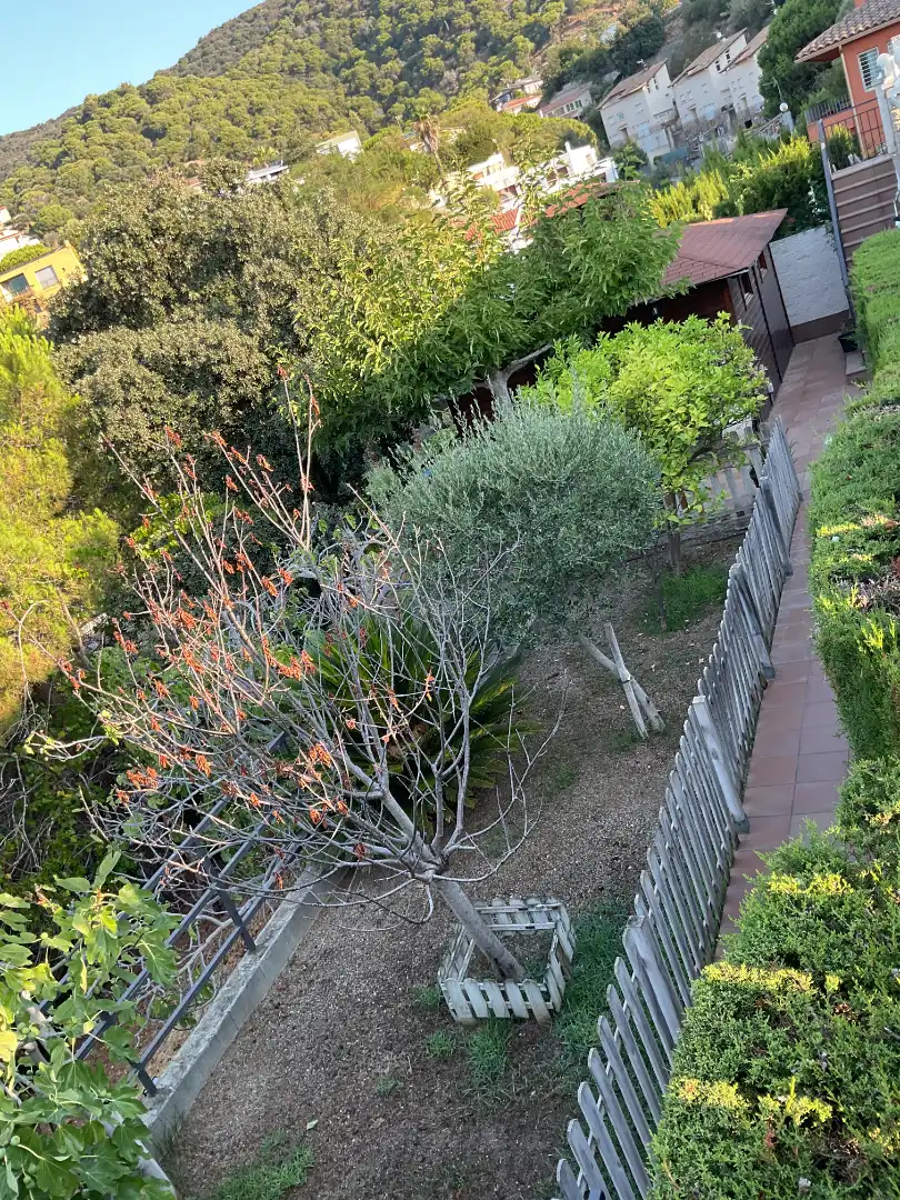 Villa con terrazza in vendita a Alella, imagen 14