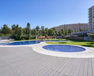 Piscina de Pis de lloguer en Alicante / Alacant amb Aire condicionat, Terrassa i Piscina