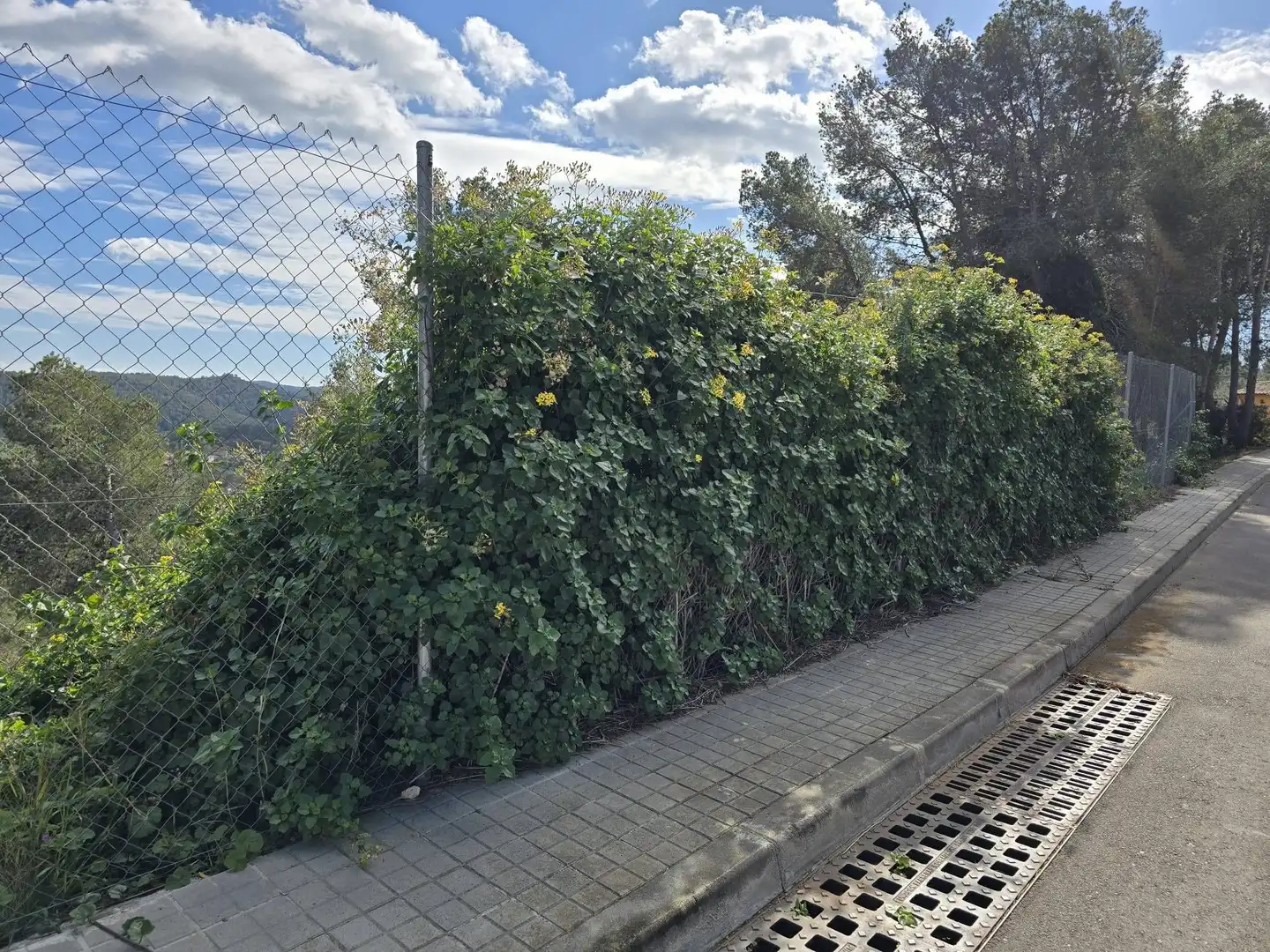 Wohnbaugrundstück zum Verkauf in Carrer de Mercuri 17, imagen 10