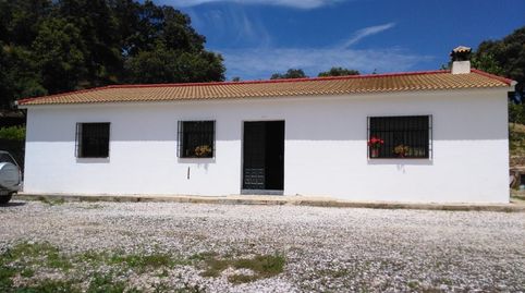 Finca de viñedos, imatge 4