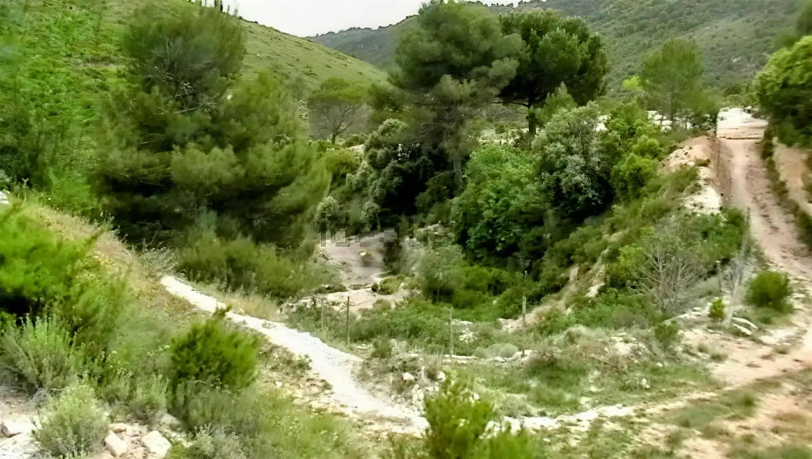 Terreny rústic en venda a Camino Partida Foyetes