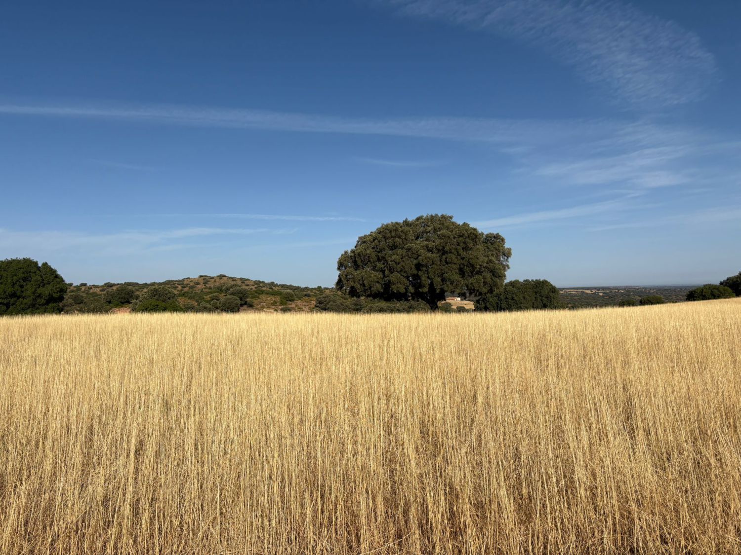 Finca rústica en venda en Ruidera amb Terrassa